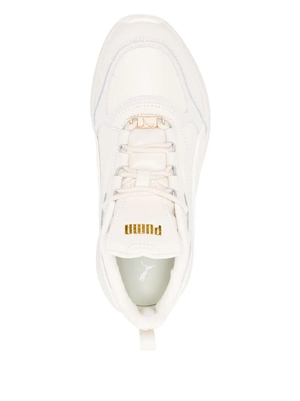 Cassia Lux
