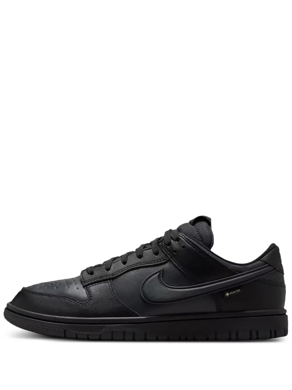 Gore-Tex Dunk Low-Top Trainers