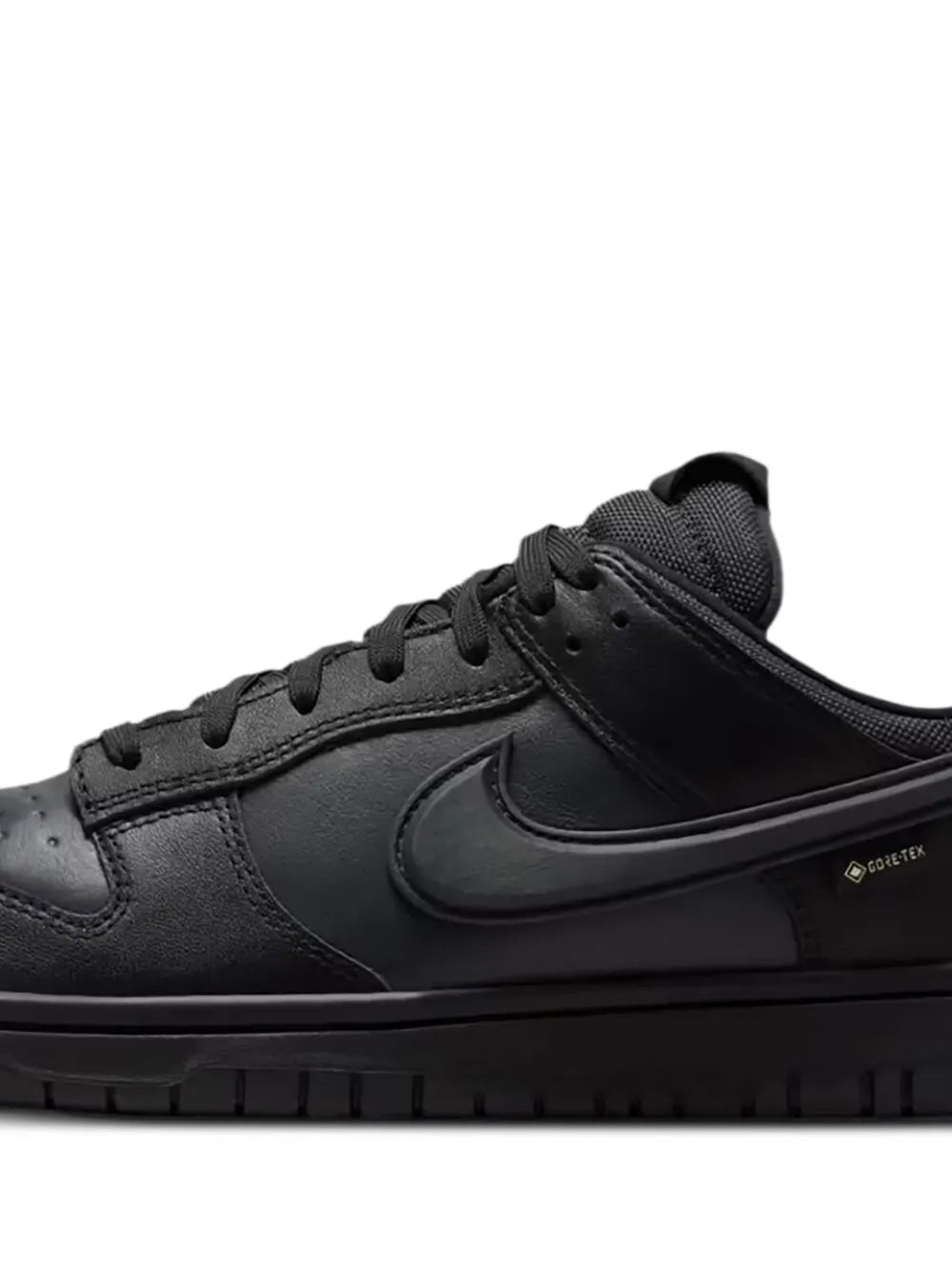 Gore-Tex Dunk Low-Top Trainers